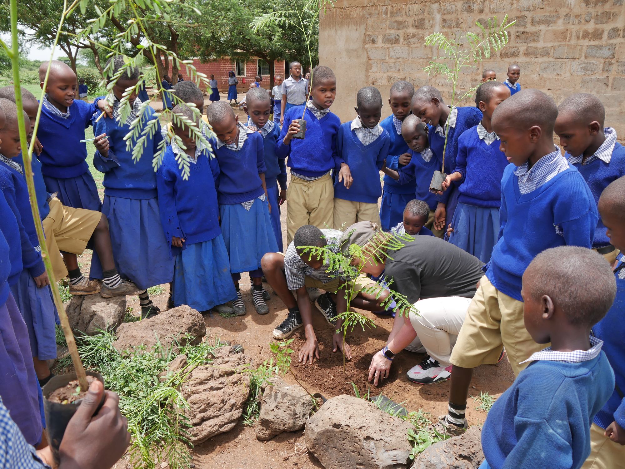 On a mission to make Tingatinga green again