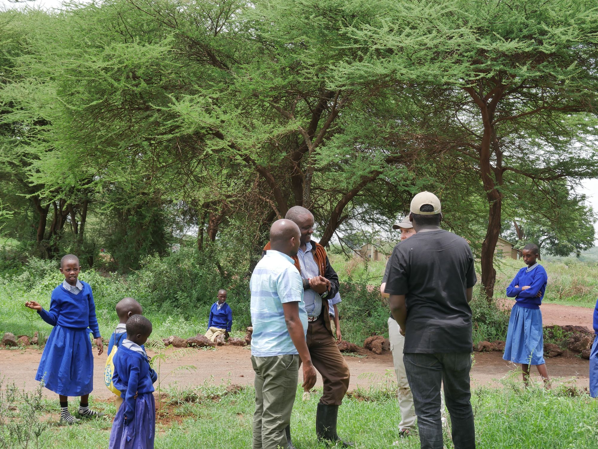 On a mission to make Tingatinga green again