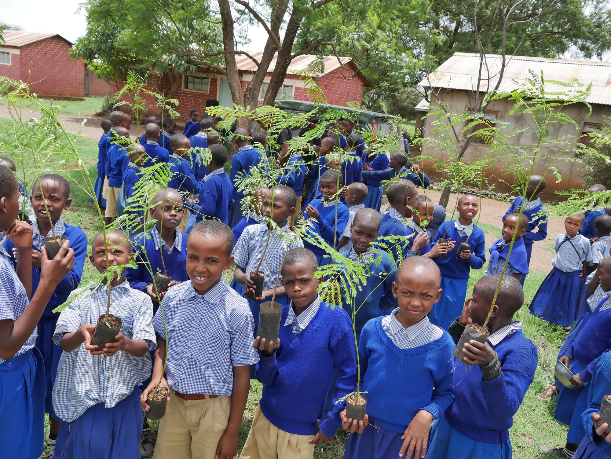 200 Trees were planted by pupils of Tingatanga primary school